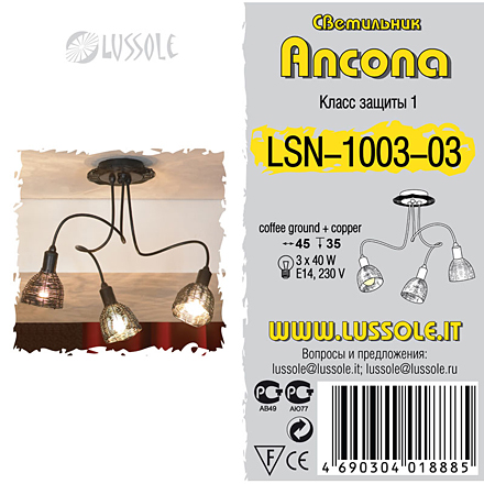 LSN-1003-03