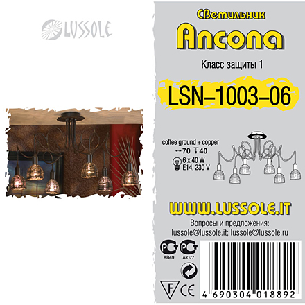  LSN-1003-06
