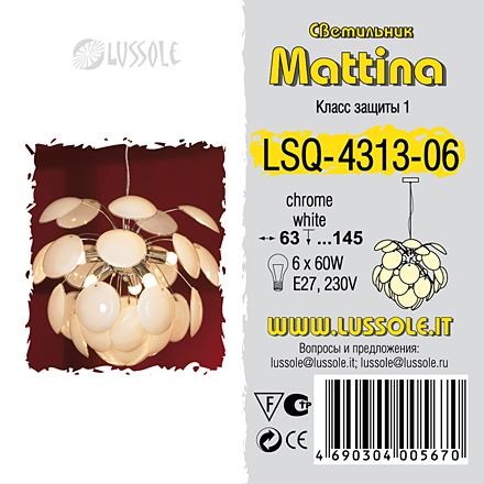 LSQ-4313-06 цвет хром