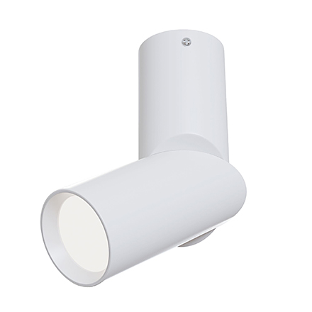 Dafne LED: Потолочный светодиодный светильник (белый)